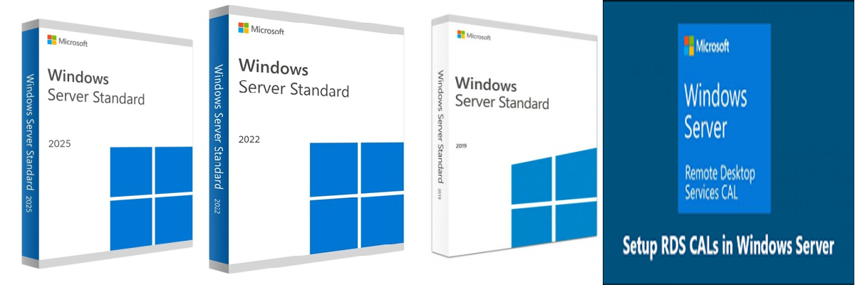 Licencias Windows Server